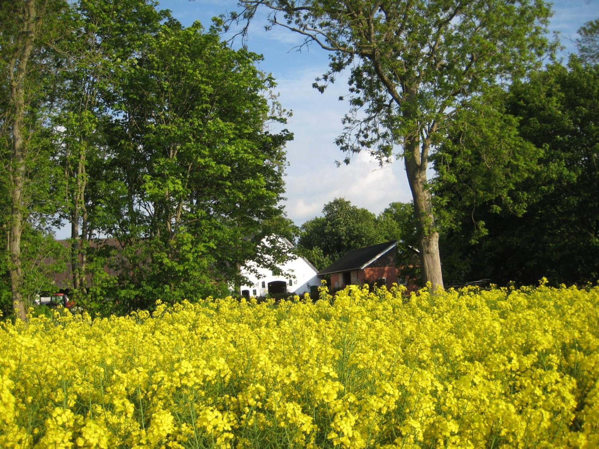 Cappeler Niederstrich Wrede-Hof 아파트 외부 사진