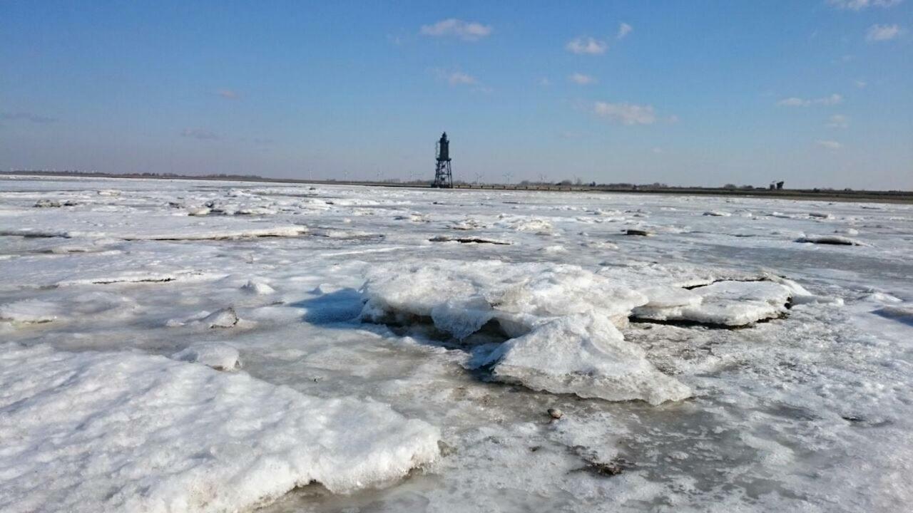 Cappeler Niederstrich Wrede-Hof 아파트 외부 사진